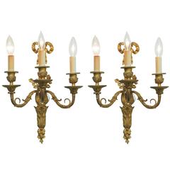 Pair of Louis XVI Style Dore Bronze Wall Sconces 5