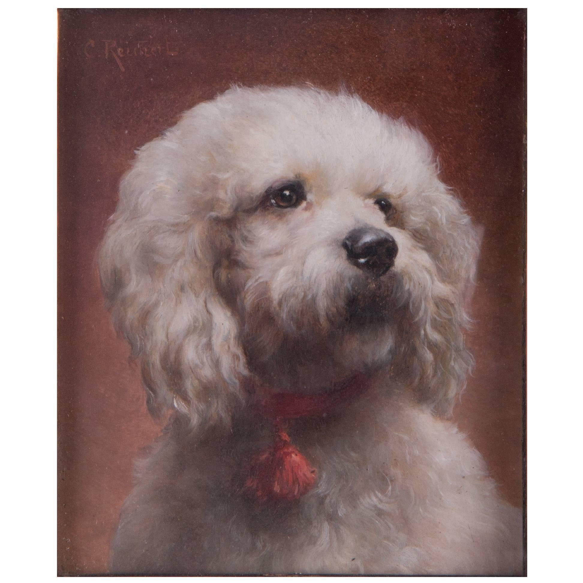 Poodle with Red Collar Austria, Painting by Carl Reichert, Austria, circa 1910 For Sale
