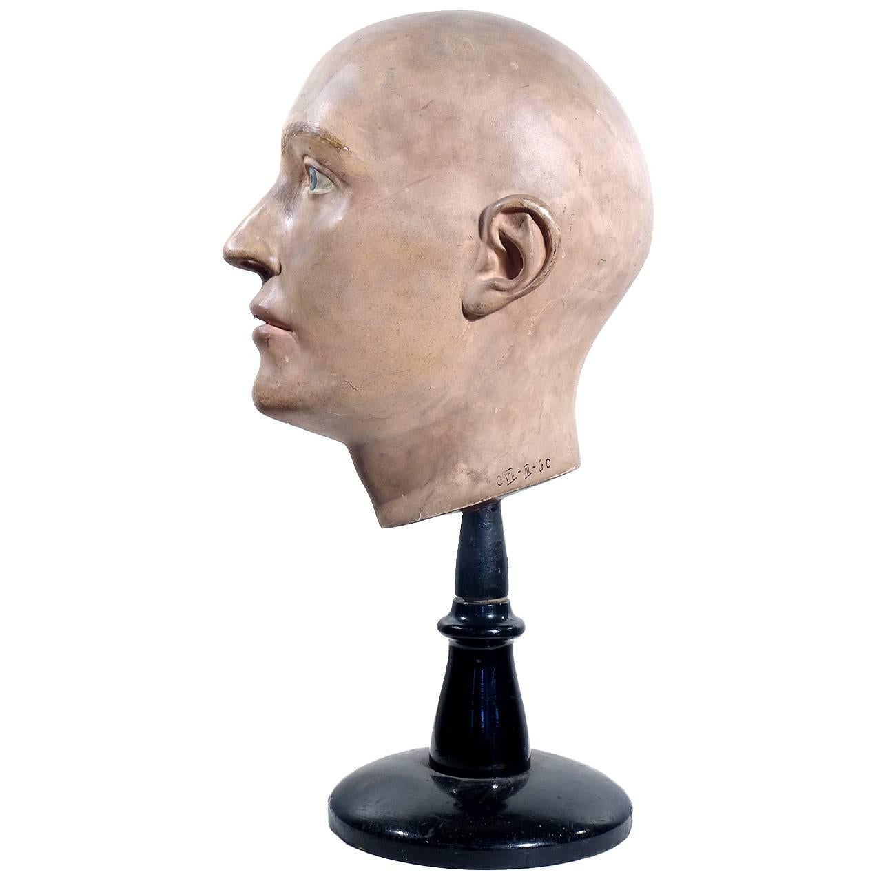 1900 Anatomical Half Head Model