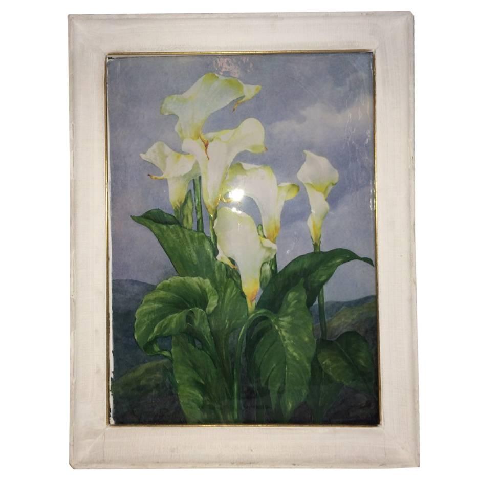 Italian 1940s Painting "Calla Lilies" For Sale