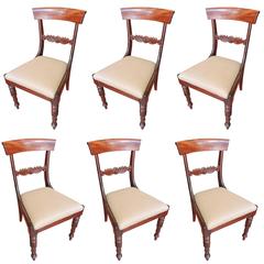Set of Six British Regency, WM IV Period Mahogany Dining Chairs, circa 1830