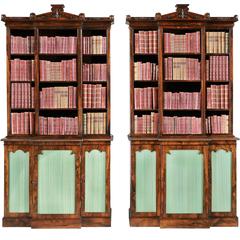 Pair of English Bookcases of the William IV Period 10