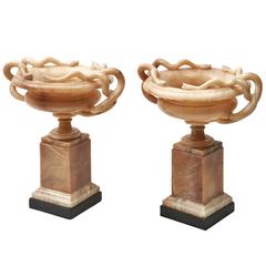 Pair of Alabaster Snake Handle Tazza, Italy, 19th Century 2