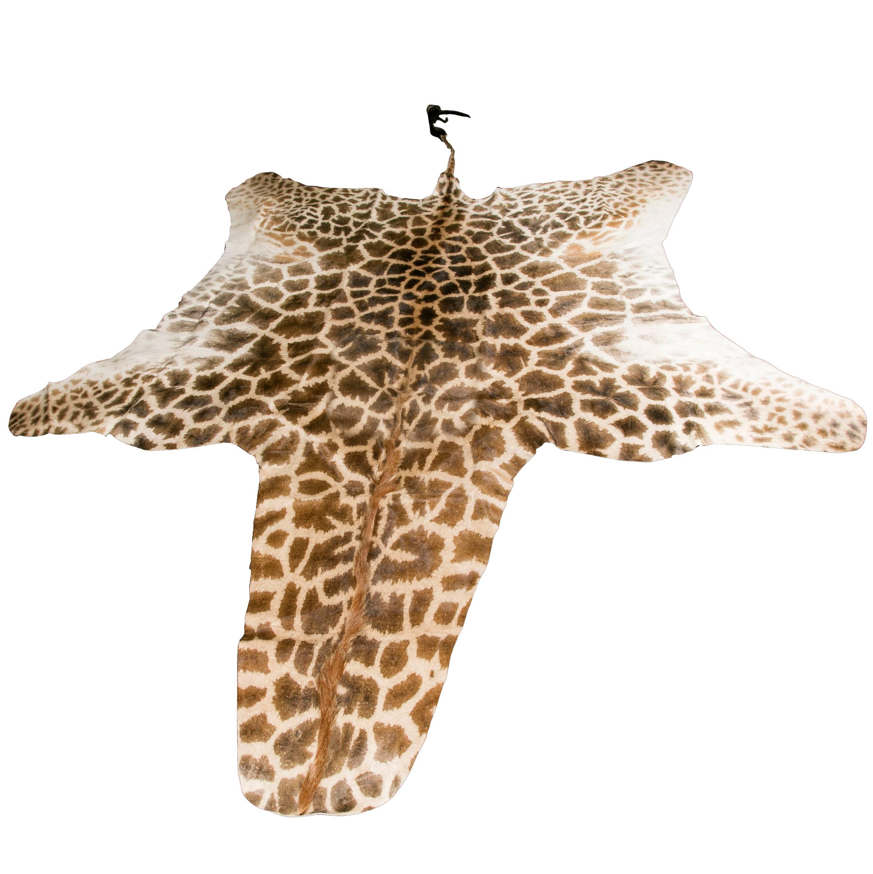 Authentic and Beautiful African Giraffe Skin Rug For Sale
