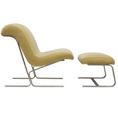 Satin Steel and Leather Lounge Chair and Ottoman 9
