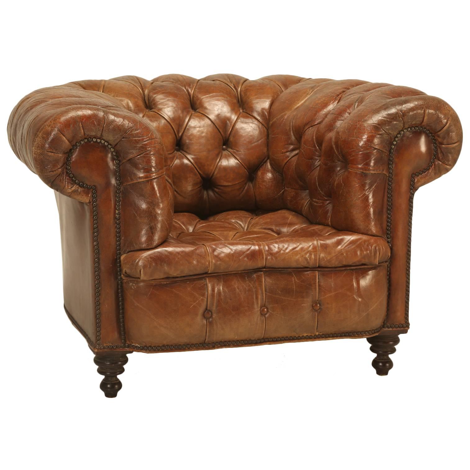 Antique Chesterfield Chair in Original Leather and Horsehair Stuffing circa 1900