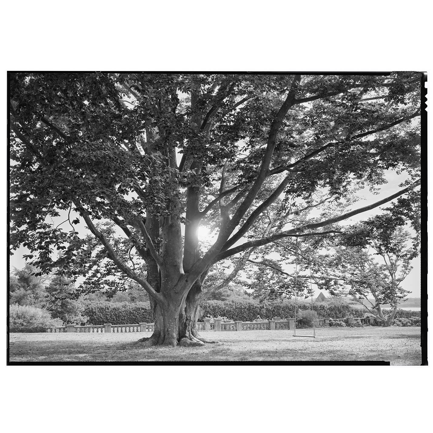 Beautiful Black and White Framed Photograph, by Charles Baker For Sale