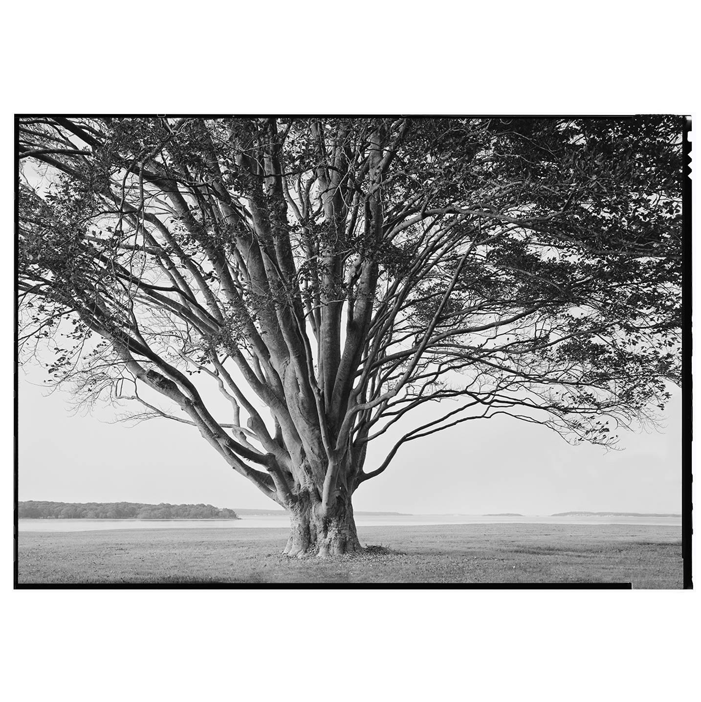Beautiful Black and White Framed Photograph by Charles Baker For Sale