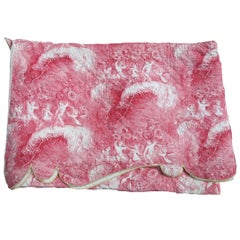 19th Century Quilted Toile Coverlet