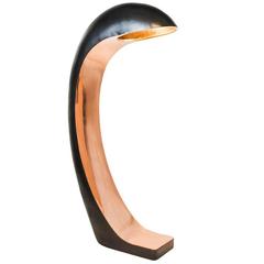 Nautilus Study Floor Lamp by Christopher Kreiling