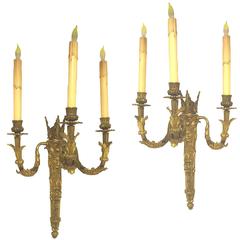 Fine Pair of Used French Napoleon III Period Gilt Bronze Three Wall Sconces