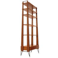 Italian Metal and Teak Bookcase, 1960s