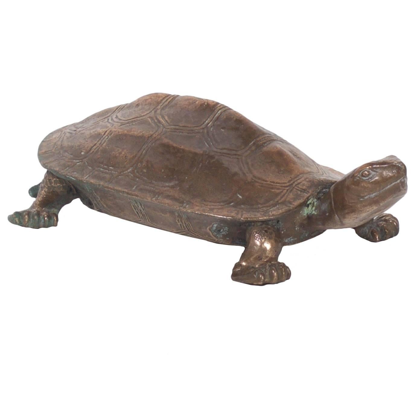 Early 20th Century Bronze Turtle