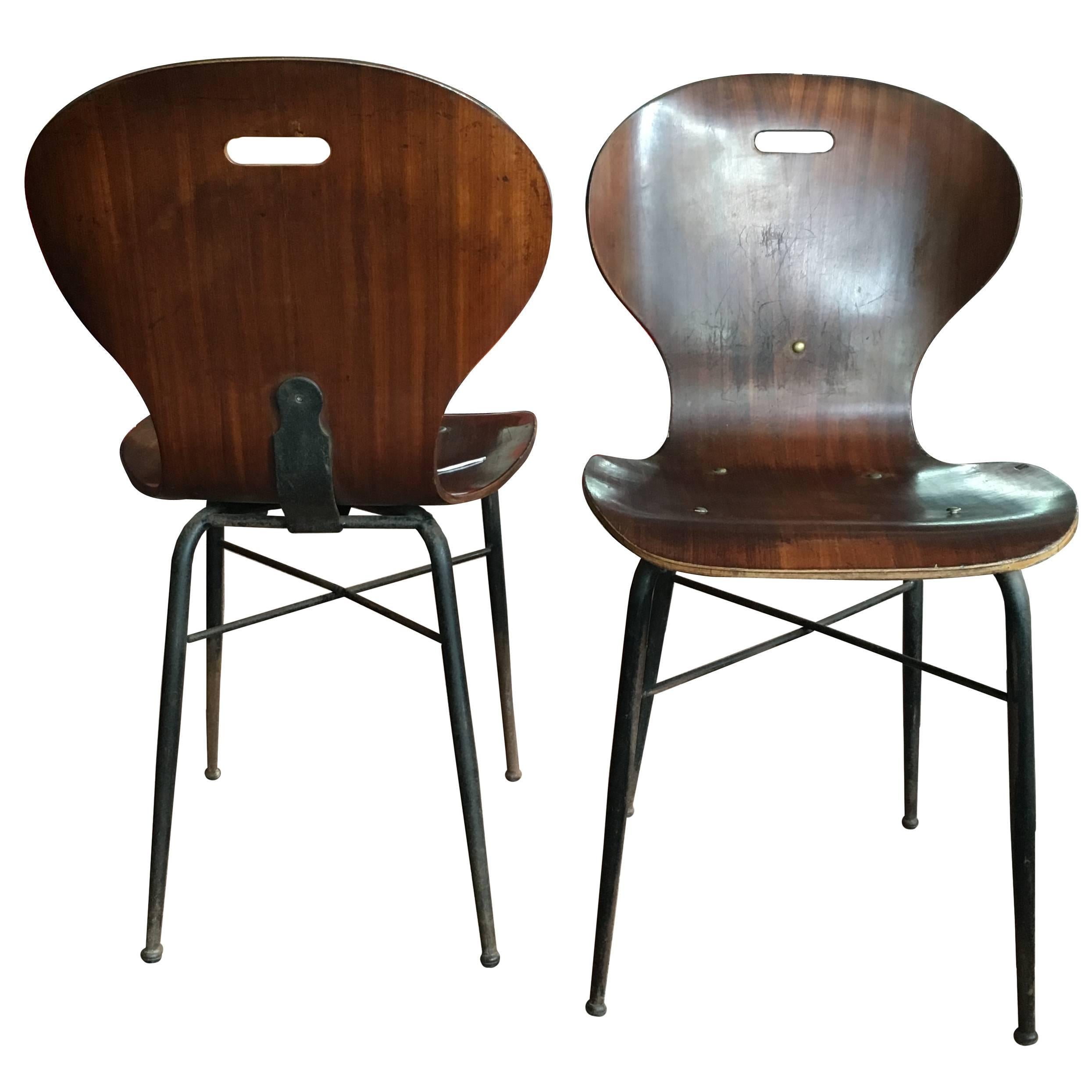 Carlo Ratti Molded Plywood Dining Chairs, 16 available For Sale