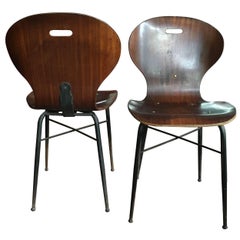 Retro Carlo Ratti Molded Plywood Dining Chairs, 16 available