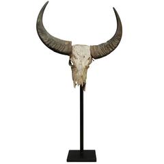 Yak Head on Stand 12