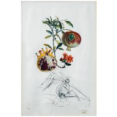 Original Salvador Dali Etching from Flors Dali Series, "Pomegranat Och Angel"