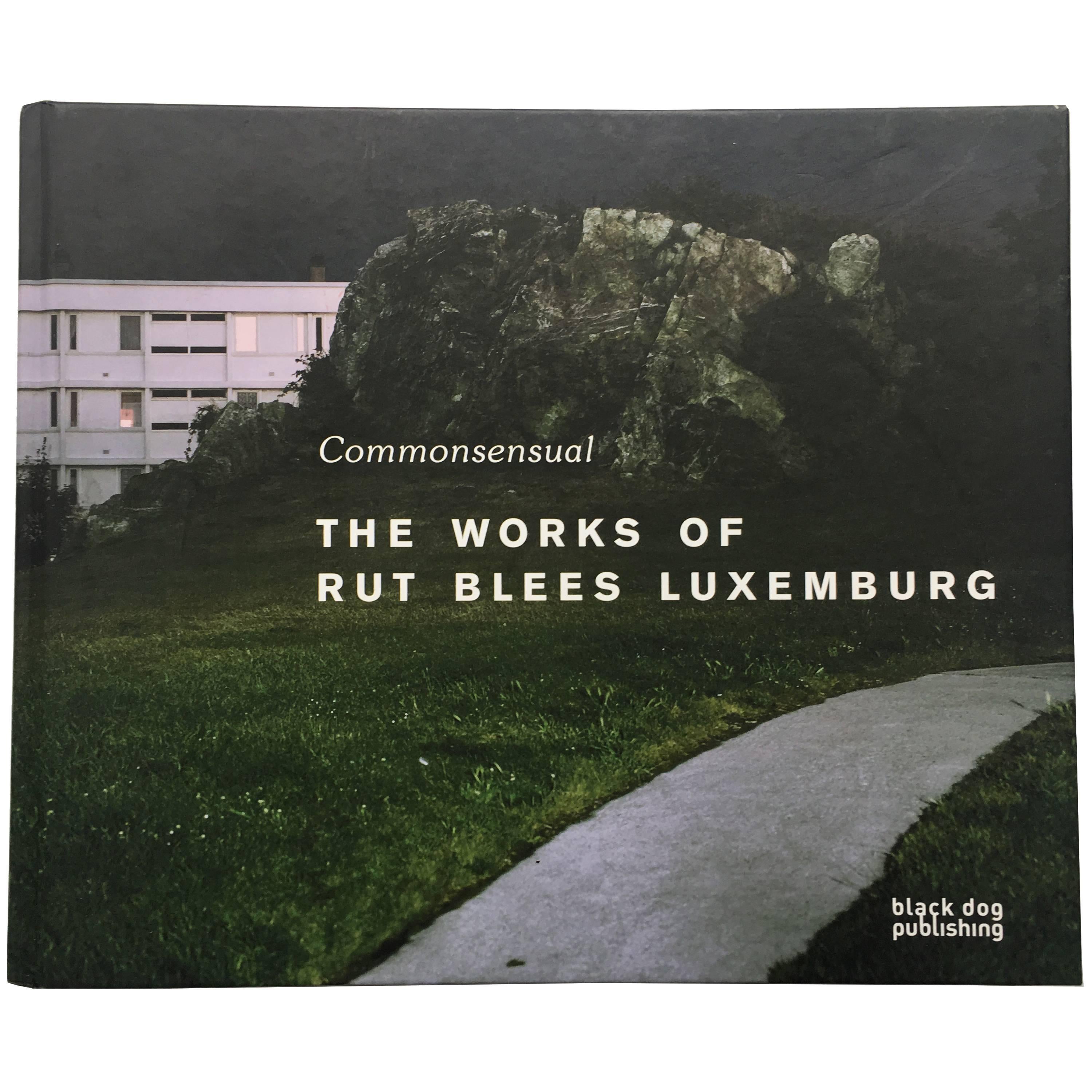 Rut Blees Luxemburg Commonsensual, The Works of Rut Blees Luxembourg, Buch