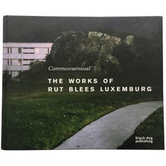 Rut Blees Luxembourg Commonsensual, The Works of Rut Blees Luxembourg Livre