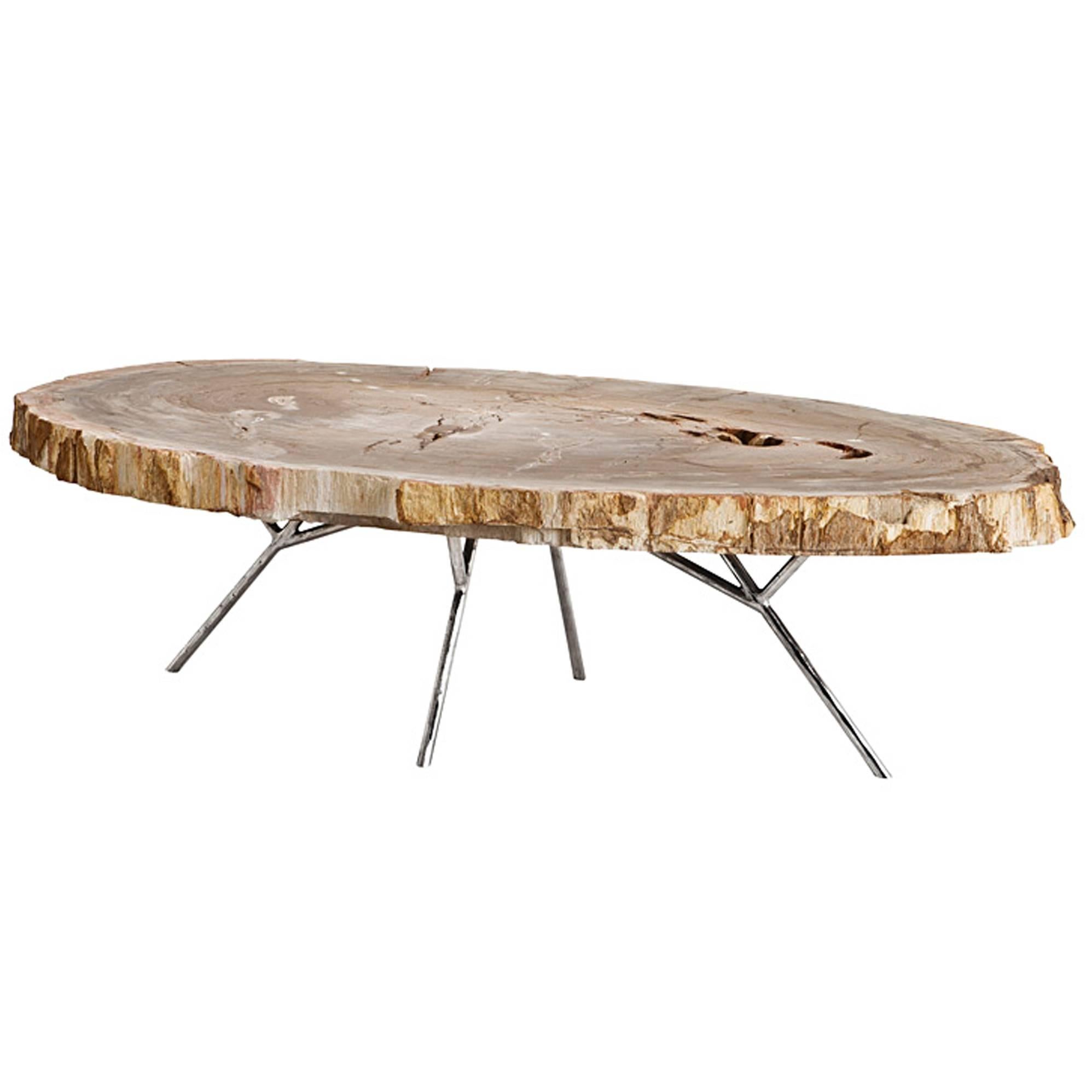 Stoned Petrified Wood Coffee Table on Stainless Steel Base