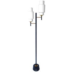 Maison Lunel French Floor Lamp with Two Opaline Glass Shades