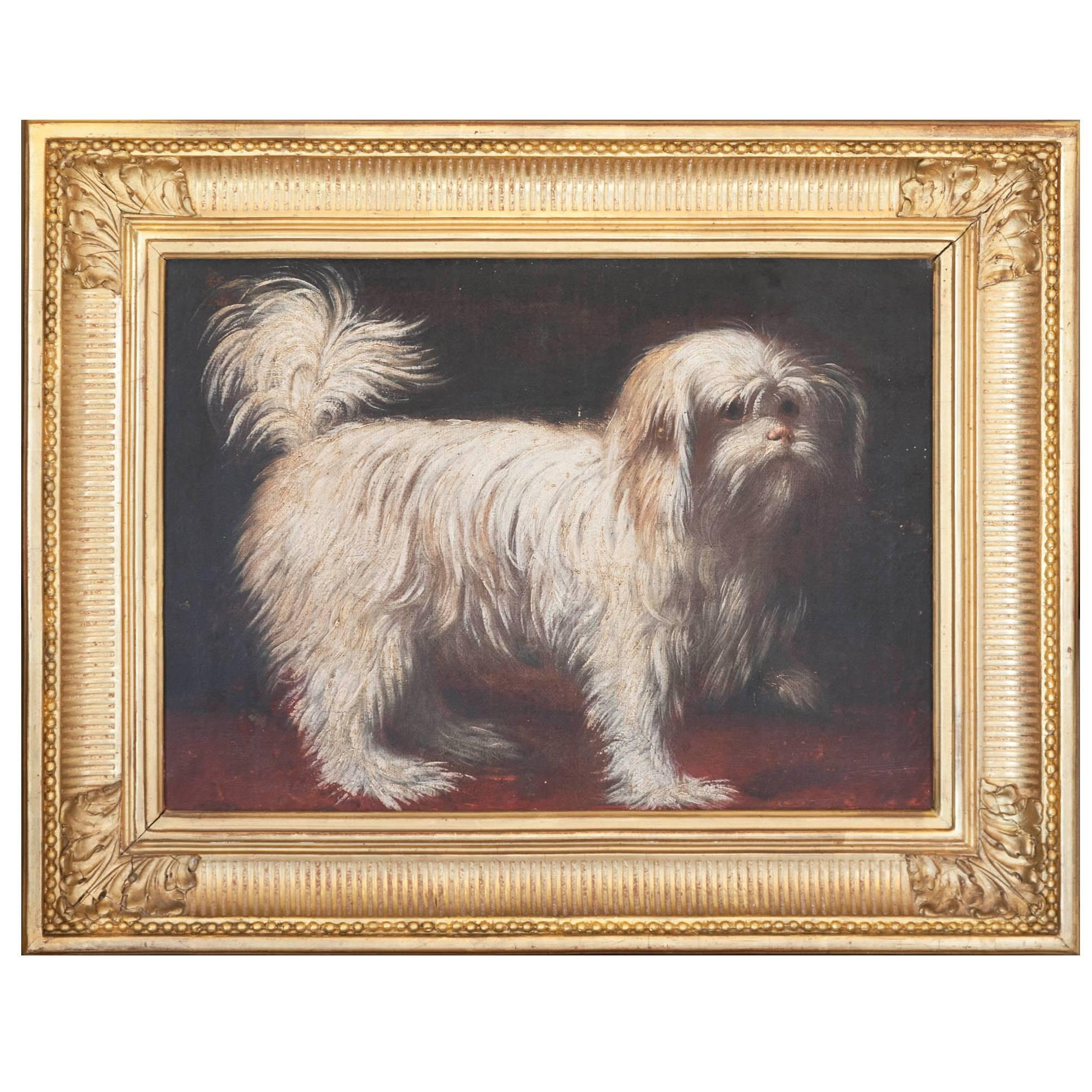 Charming 19th Century Oil on Canvas Painting of a Small White Dog in Gilt Frame