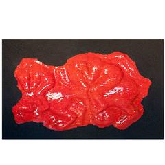 "Senza Titolo 21" a Mixed-Media Mosaic Panel Made by Svetlana Ostapovici "Senza Titolo 21" a Mixed-Media Mosaic Panel Made by Svetlana Ostapovici