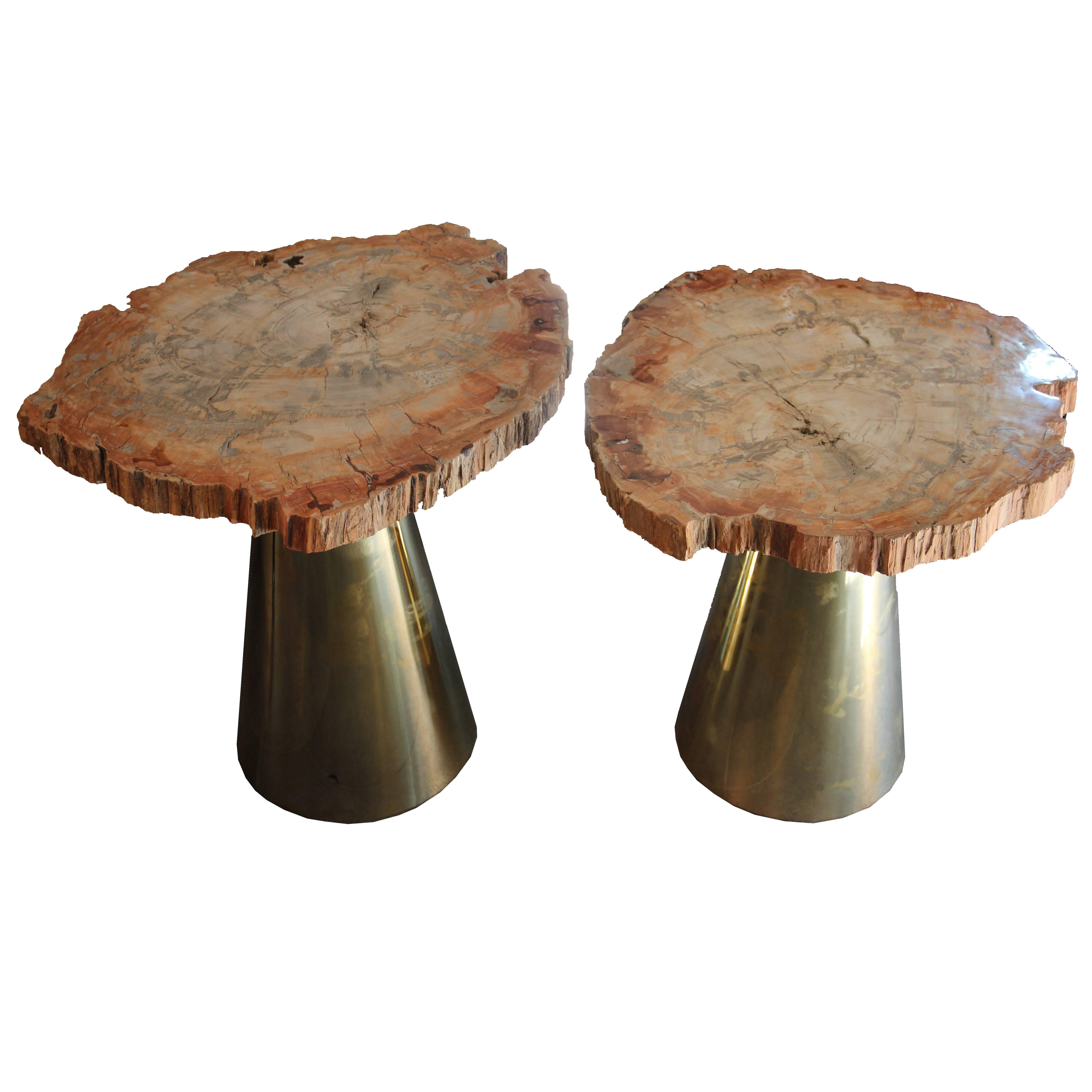 Pair of Coffee Tables, Gold Brass and Marble Top 'Fossilized Wood', circa 2010