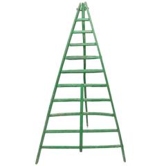 Huge Fruit Picking Ladder 9