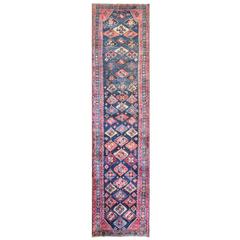 Astonishing Malayer Runner