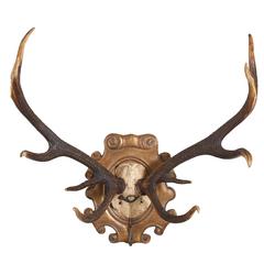 19th Century Habsburg Red Stag Trophy with Hook & Original Hunt Horn Hardware