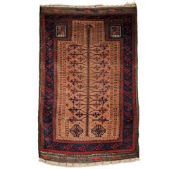 Antique Baluch Camel Ground Prayer Rug with 
Tree of Life
 Design, circa 1900