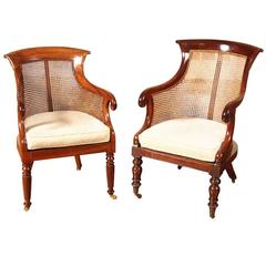 Antique Compatible English Tub Back Library Chairs, circa 1820-1830