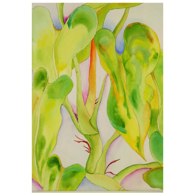 Botanical Watercolor Painting For Sale at 1stdibs