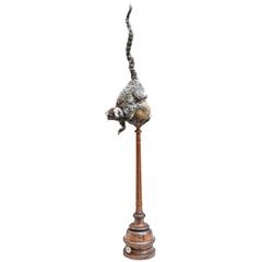Fine Taxidermy Marmoset by Sinke & Van Tongeren 11