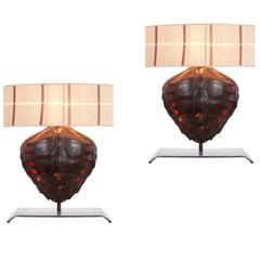 Pair of Genuine Tortoiseshell Table Lamps on Custom-Made Stands