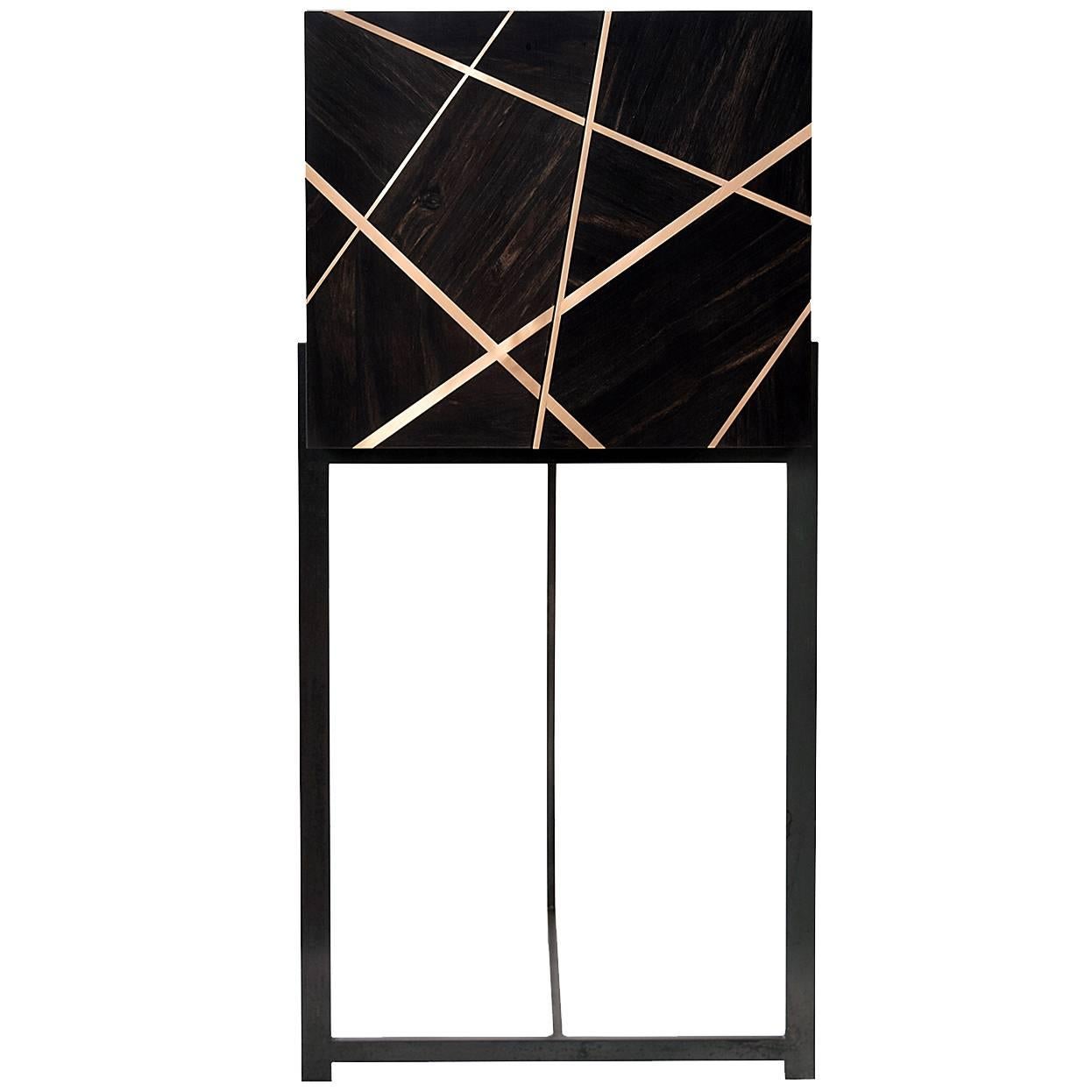 The ray cabinet in ebony and bronze is created to be a notable accent piece. It is at once rich, luxurious and complicated, while maintaining a serious and serene form.

Gabon ebony is a member of the diospyros family and comes from northern