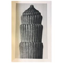 Karl Blossfeldt 1928 First Edition Photogravure 5