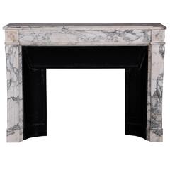 Louis XVI Style Fireplace Made Out of Arabescato Marble, 19th Century