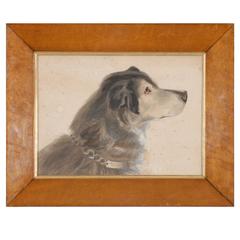 19th Century Watercolor Portrait of a Dog in Original Maple Wood Frame