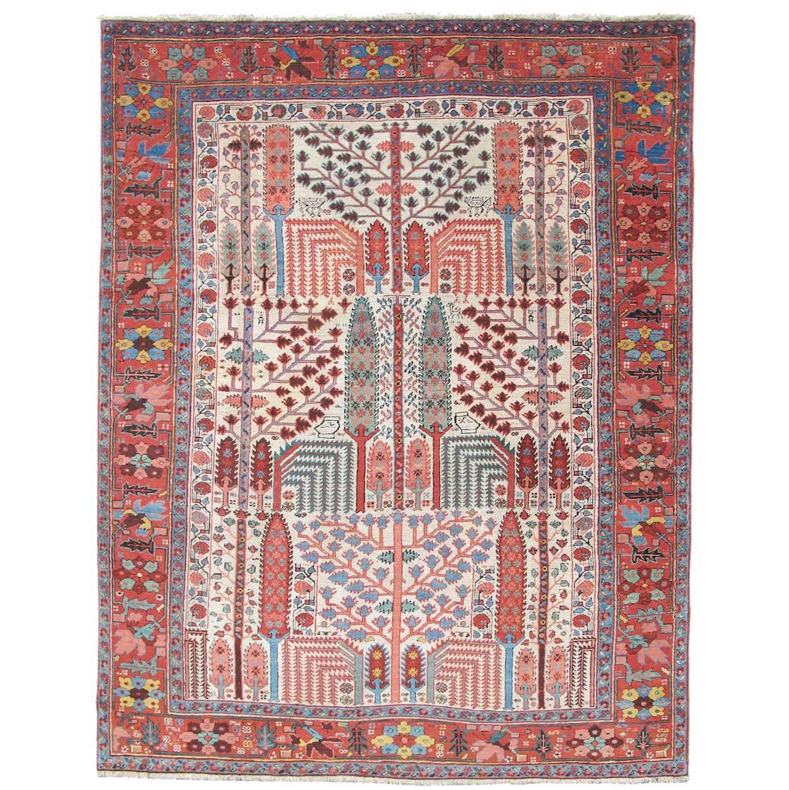 Late 19th Century Colorful Bakhshaish Rug 