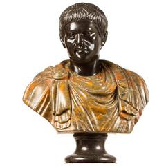 19th Century Marble Bust of a Cloaked Roman Figure 4