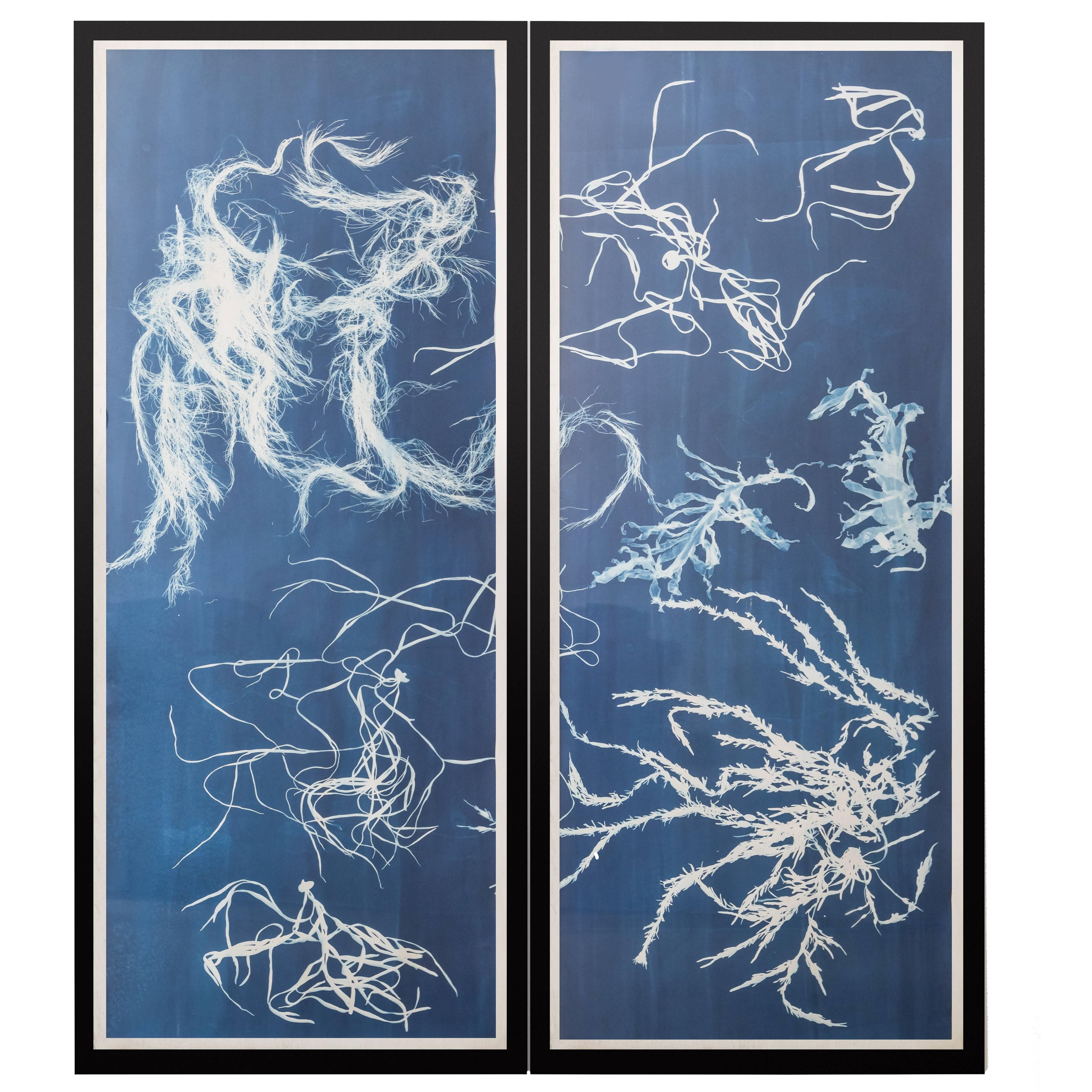 Contemporary Seaweeds Blueprint Wall Print or Decoration, Glithero, 2014 For Sale