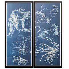 Contemporary Seaweeds Blueprint Wall Print or Decoration, Glithero, 2014