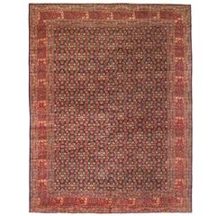 Extremely Fine Antique Late 19th Century Persian Senna Carpet