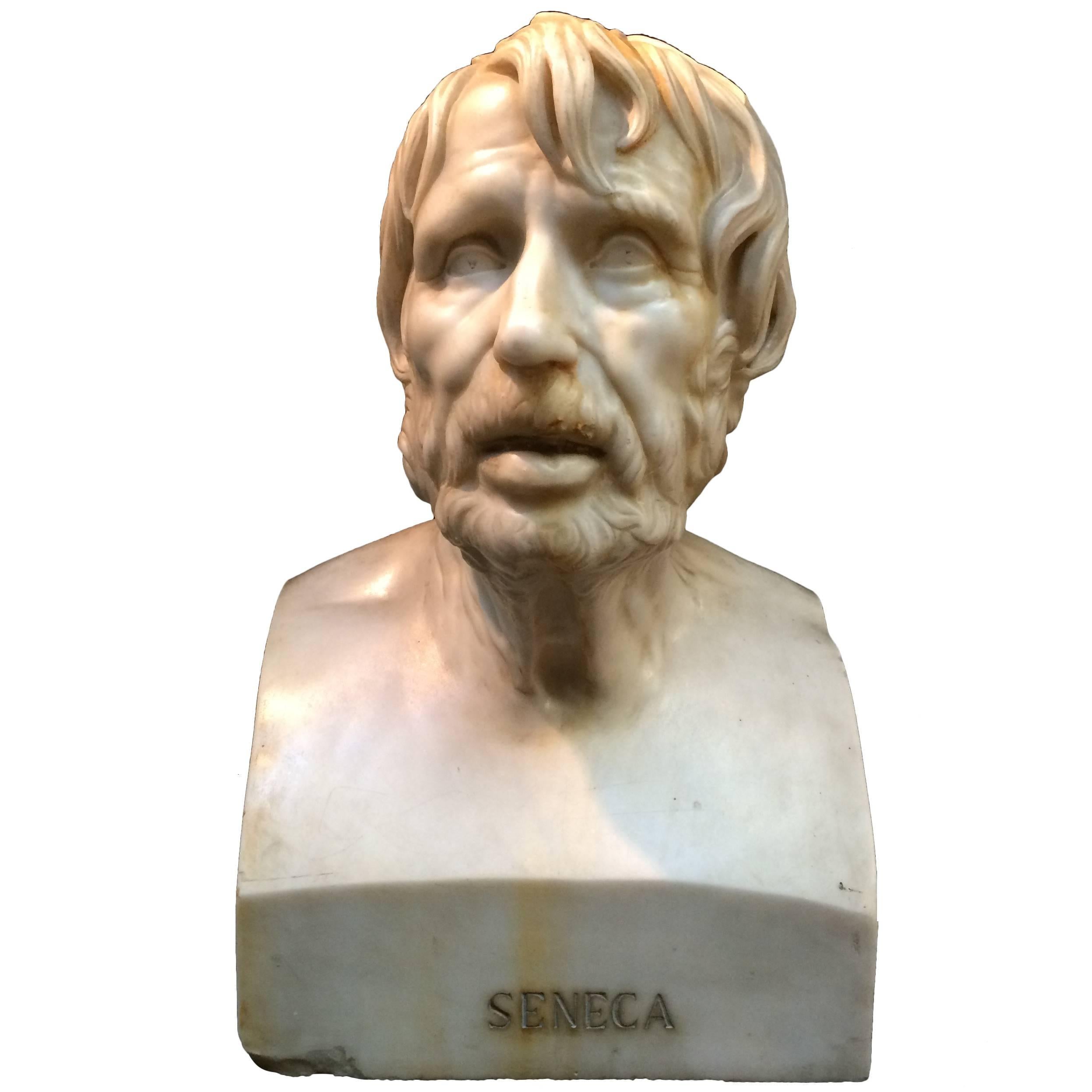Stunning White Carrara Marble Seneca Bust from the 19th Century