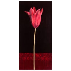 Lily Flowered Tulip Painting