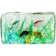 Cenedese Murano Green Pink Orange Black Fish Italian Art Glass Aquarium Block 2