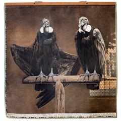 Vintage Wall Chart Condor, 1916 5