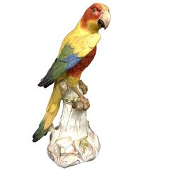 Large 19th Century Meissen Parrot 12